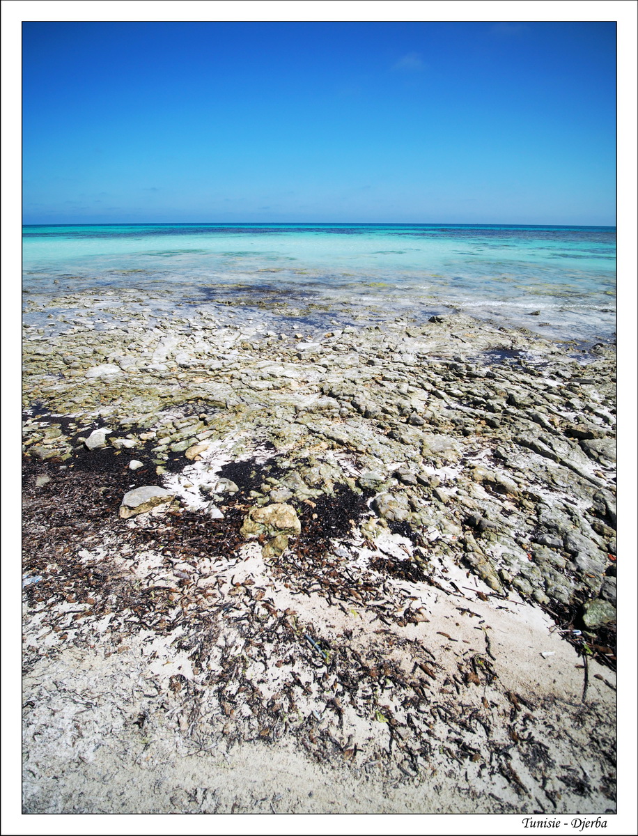 2018 - 05 - Djerba - 42